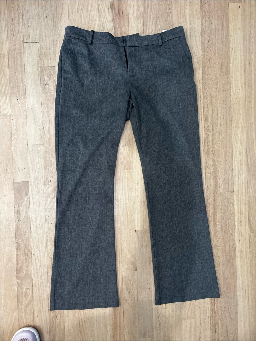 Women Gray Dress pants - Classic Straight Fit